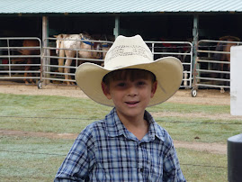 Cowboy David