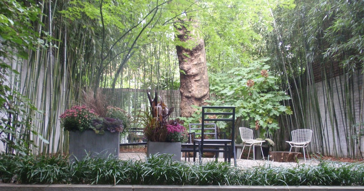 My Life in Gardens Yoga Garden