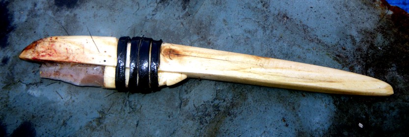 [Seal microblade.jpg]