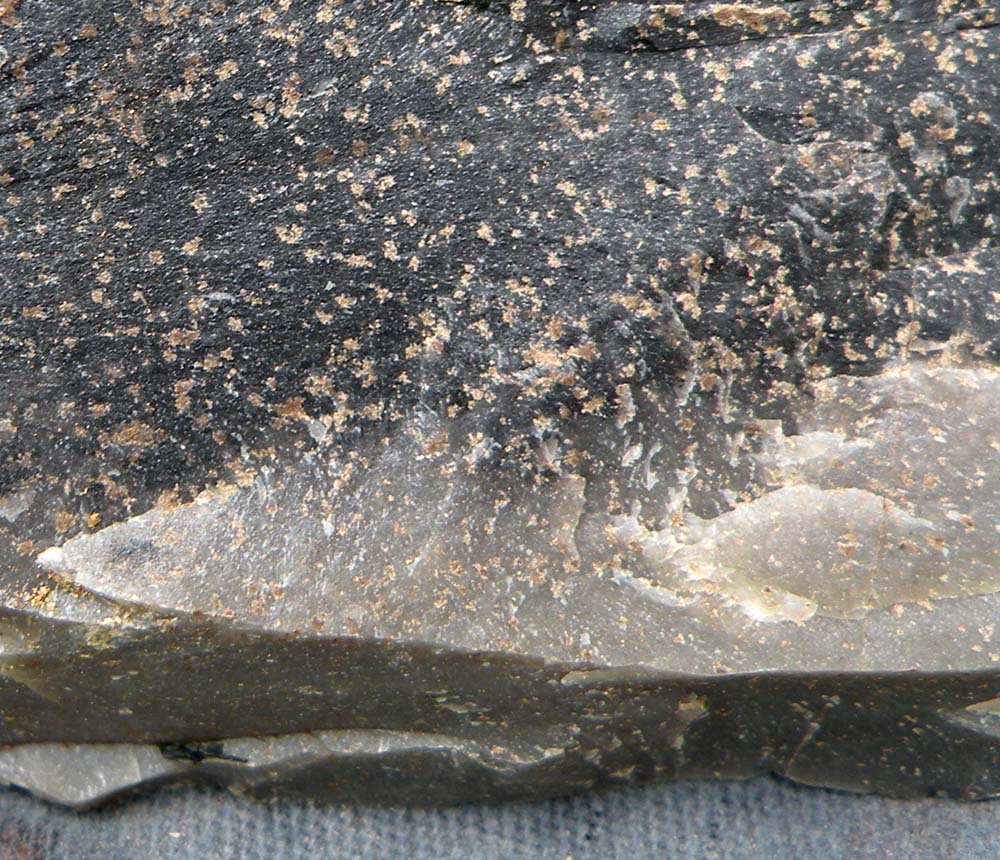 Elfshot Newfoundland Chert Photos