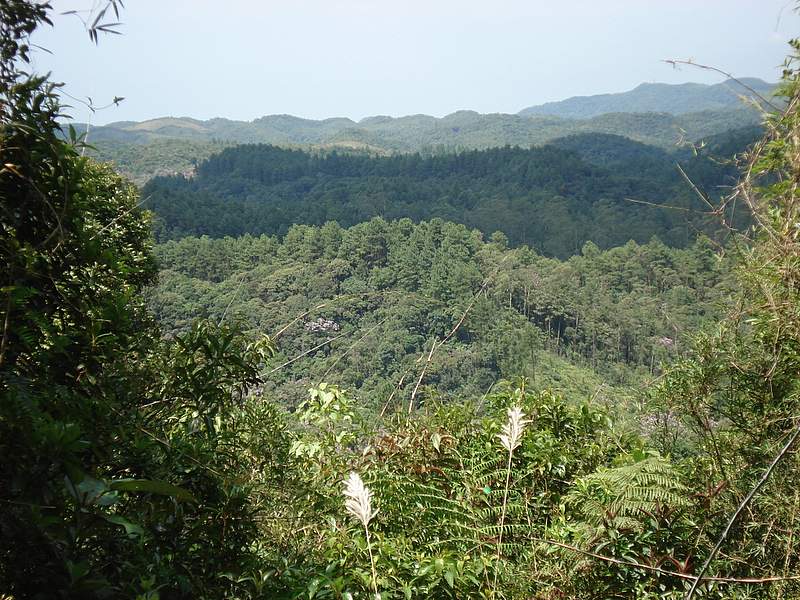 [DSC04597.JPG]