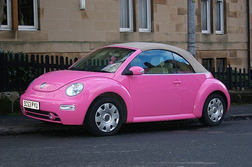 [pink+beetle.jpg]