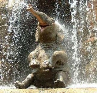 Elefante.jpg