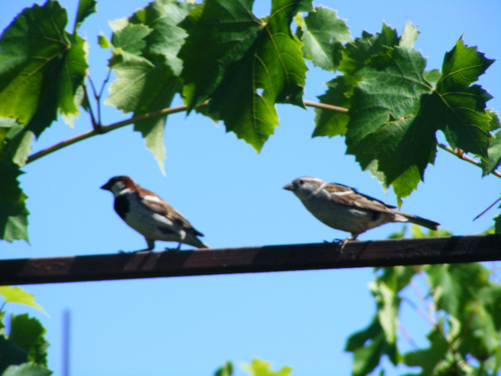 [2009_07210008.JPG]