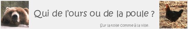 Qui de l'ours ou de la poule ?