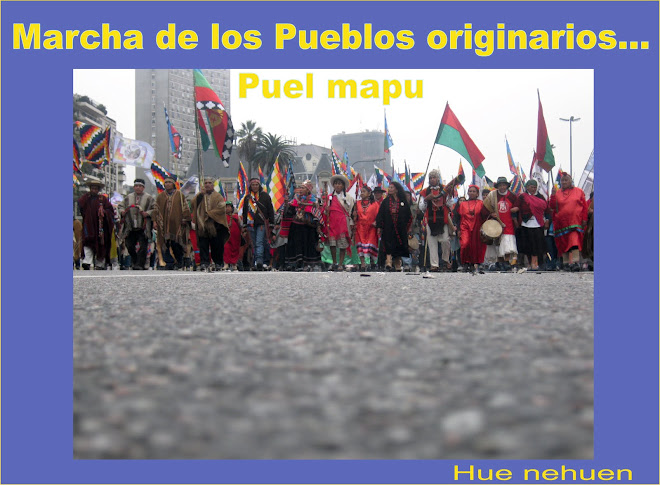 Marcha en Puel mapu