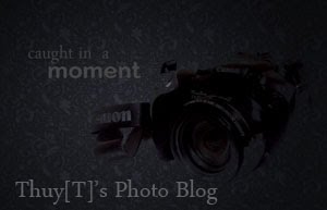 Catch in a moment - Thuy[T]