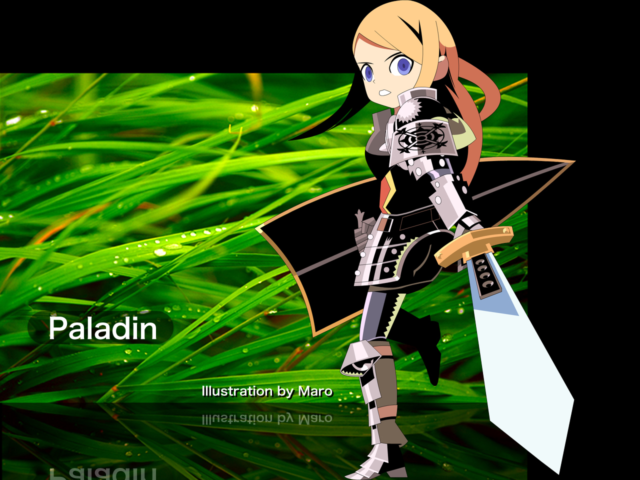 [paladin.jpg]