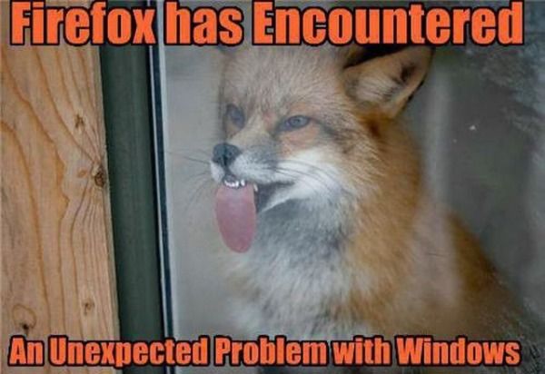 [Image: Firefox_Windows_Problem.jpg]