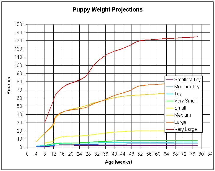 Leonberger Growth Chart