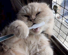 Hay que cepillarse los dientes antes de ir a dormir, y luego de comer golosinas...