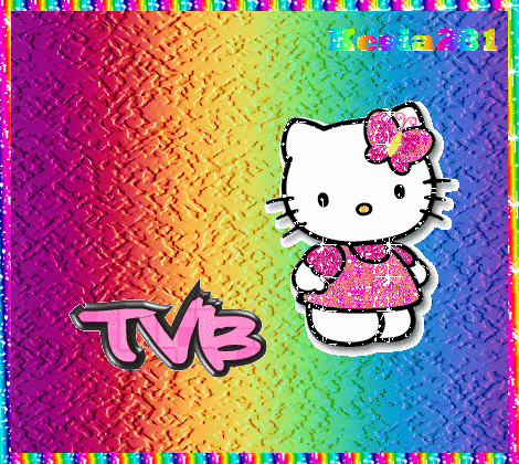 TVB LOGO