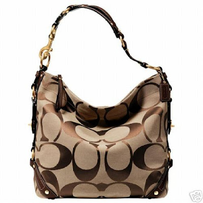 Brown Coach Bags from Gucci