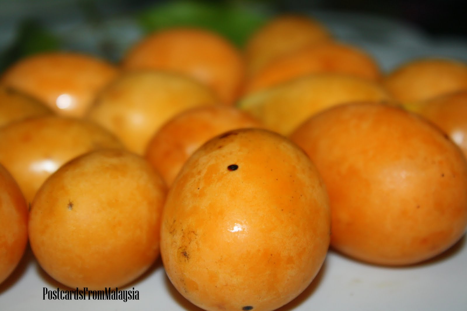 Postcards From Malaysia Plum Mango/Marian Plum
