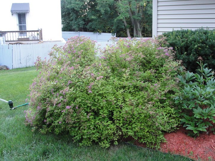 Prairie Tayles Barbie S Bouquet Ready For Pickin