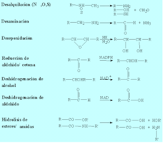 FORMULA DEL VINAGRE formula del vinagre: