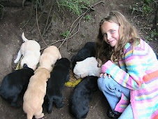 Puppies in Cotopaxi