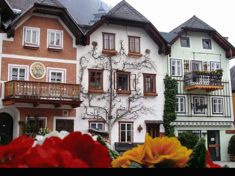 [austria3.jpeg]