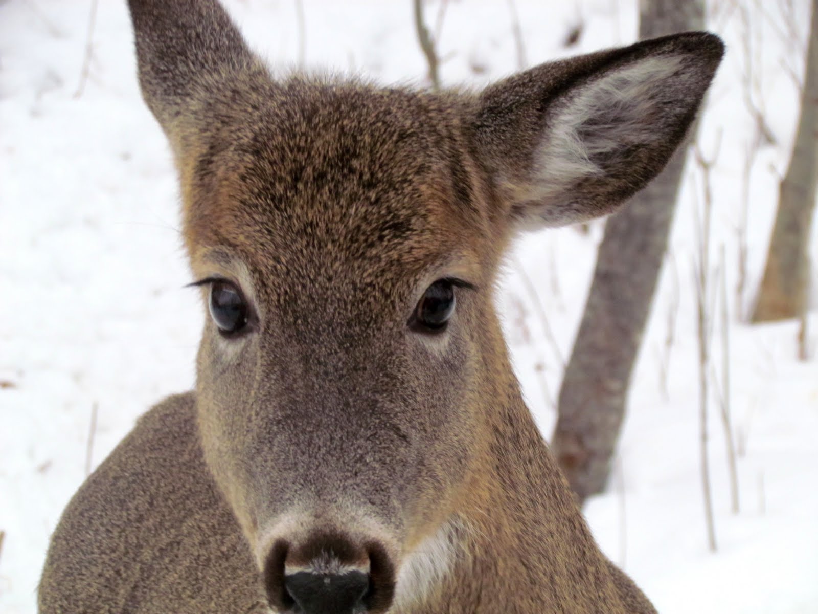 fausses rencontres ordinaires philippe caure thtre