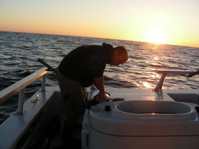Sunset  - Just Add Beer Boat - THE CABEZON