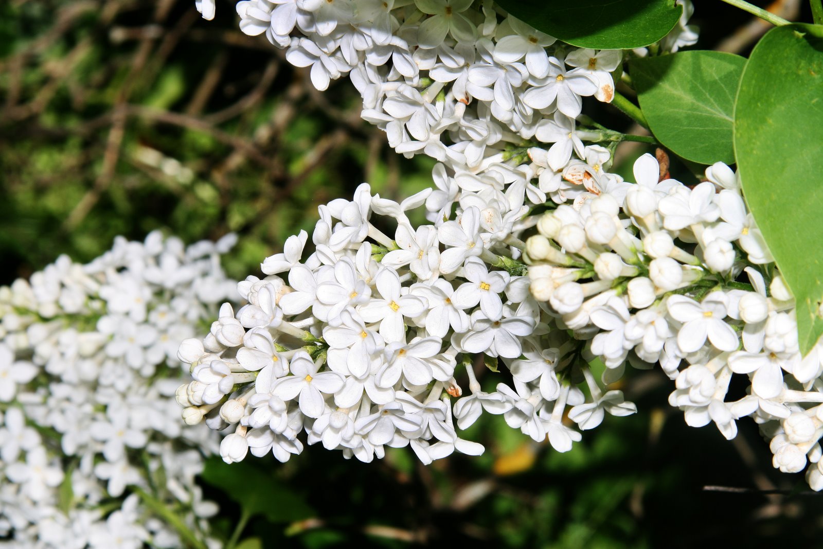 [IMG_2495_web.jpg]