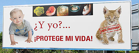 [protege+mi+vida.jpg]