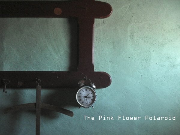 The Pink Flower Polaroid