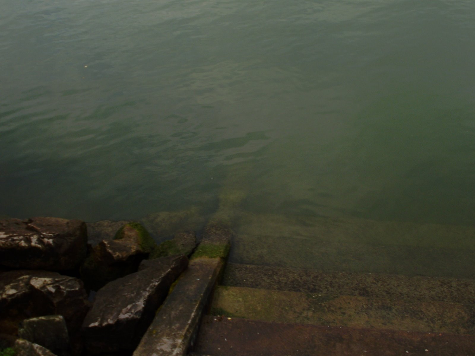 [P9290096.JPG]