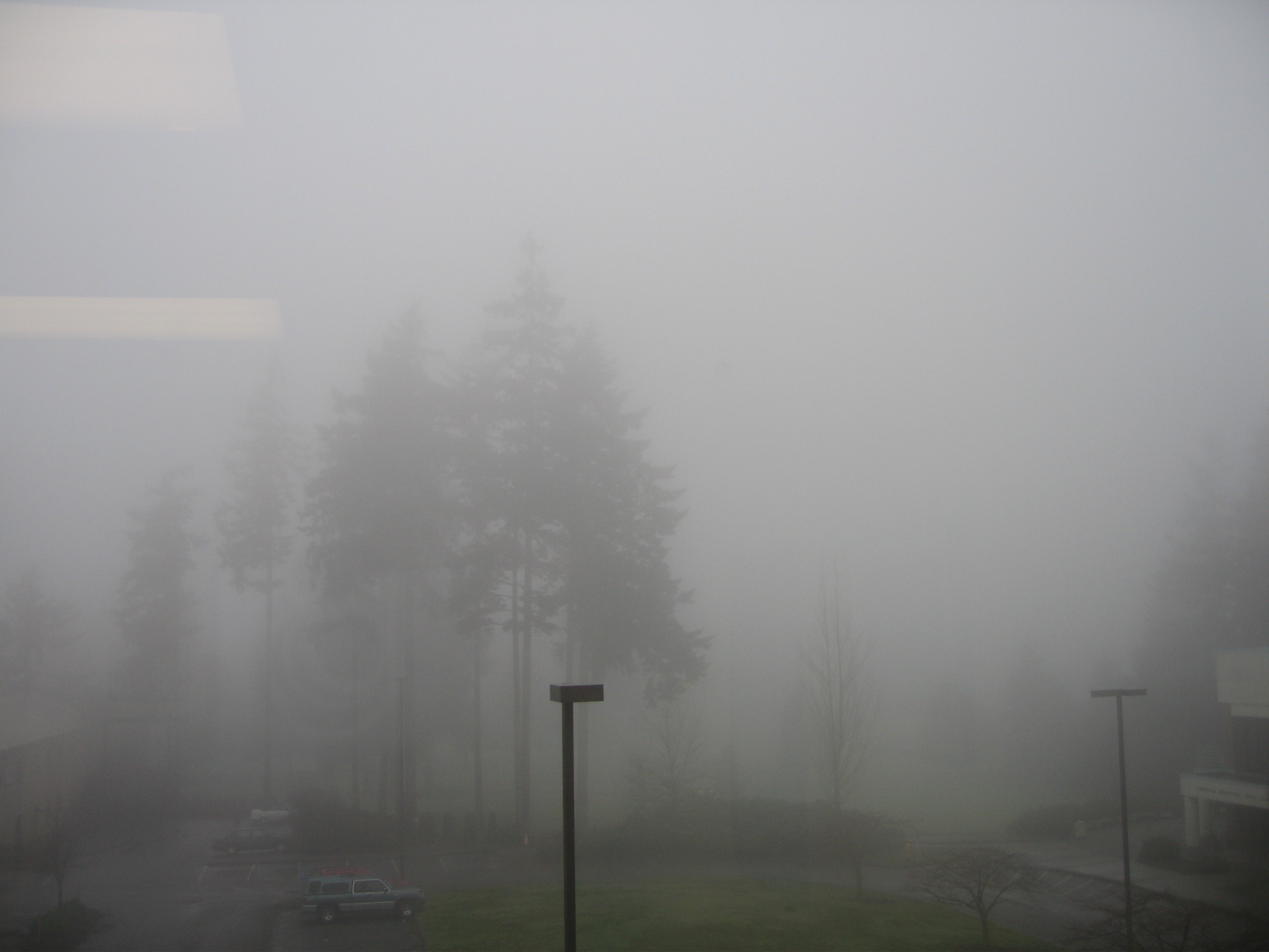 [fog+library.JPG]