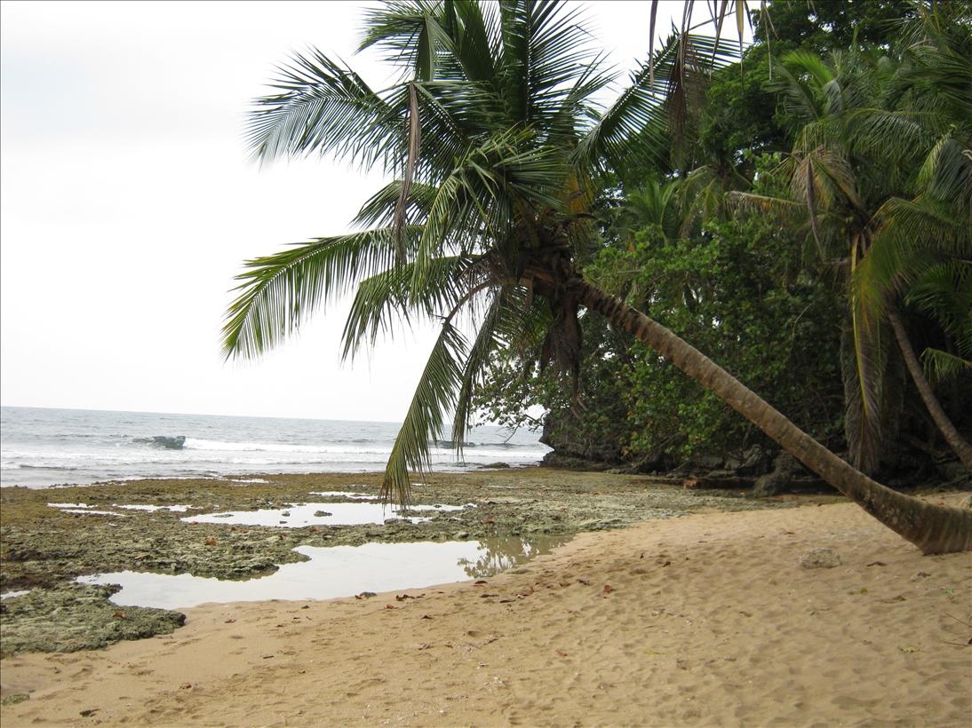[Costa_Rica_Limon088.jpg]
