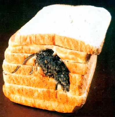 [mouseinbread.jpg]