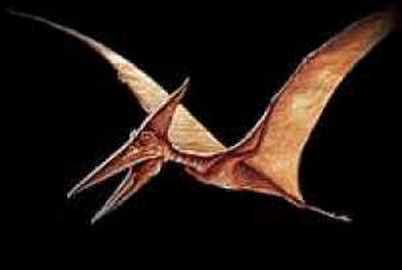 [pterosaurios.jpg]