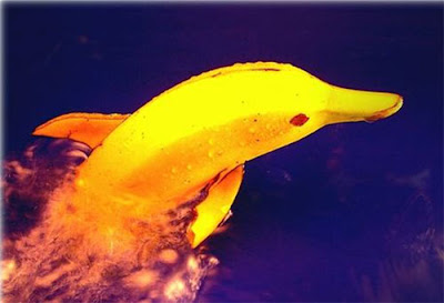attachment3 Creative creations ( Tasty & Cool ) image gallery 