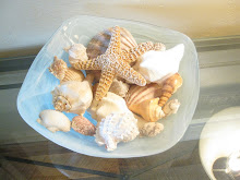 Everyone should have a bowl of hand picked sea shells