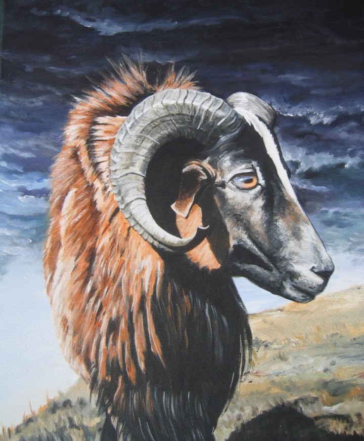 Baa Ram Ewe Sheep Painting Sheep