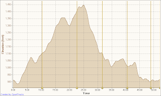 Mom To Marathon Oc Chili Winter Trail Run Race Report My First