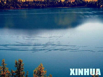 新疆喀納斯湖 湖怪