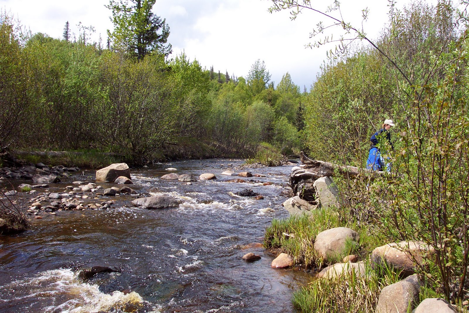 Alaska TCD Alliance Tyonek TCD