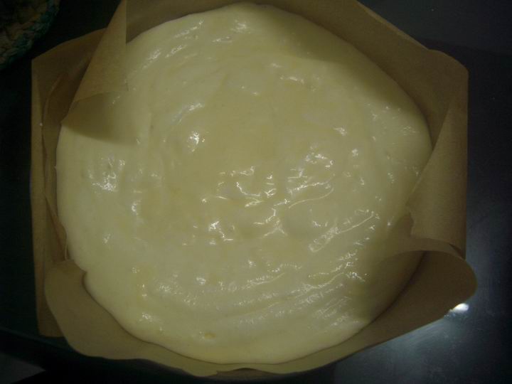 [Resize+of+IMGP6818.JPG]