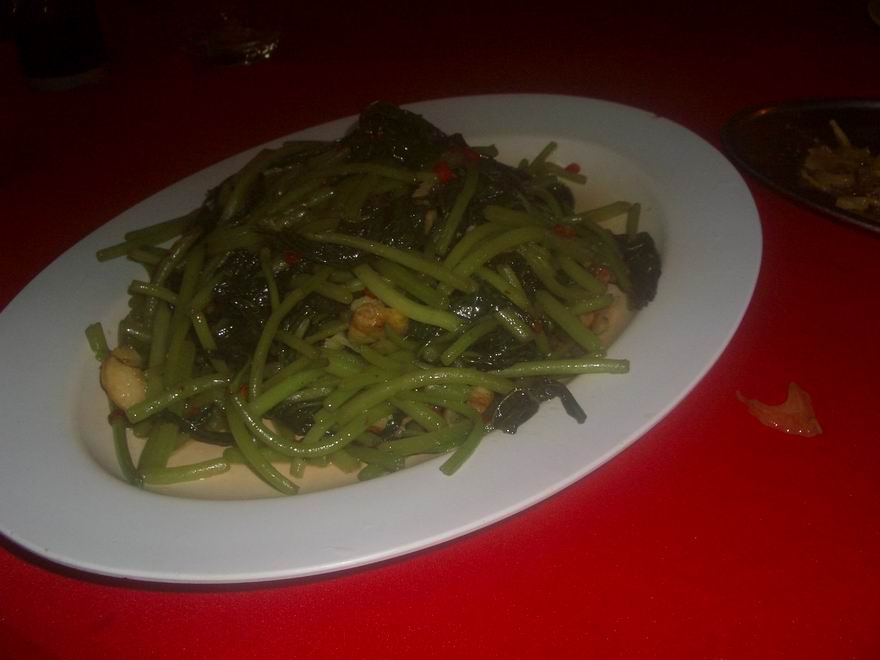 [Resize+of+IMGP8731.JPG]