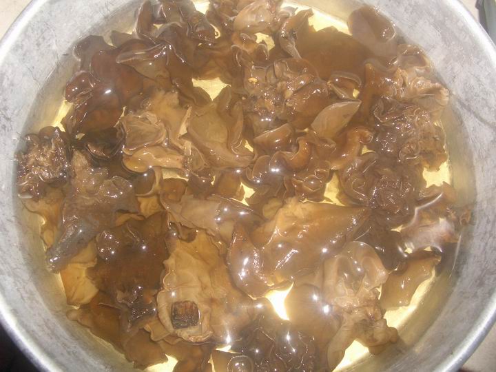 [Resize+of+IMGP9516.JPG]