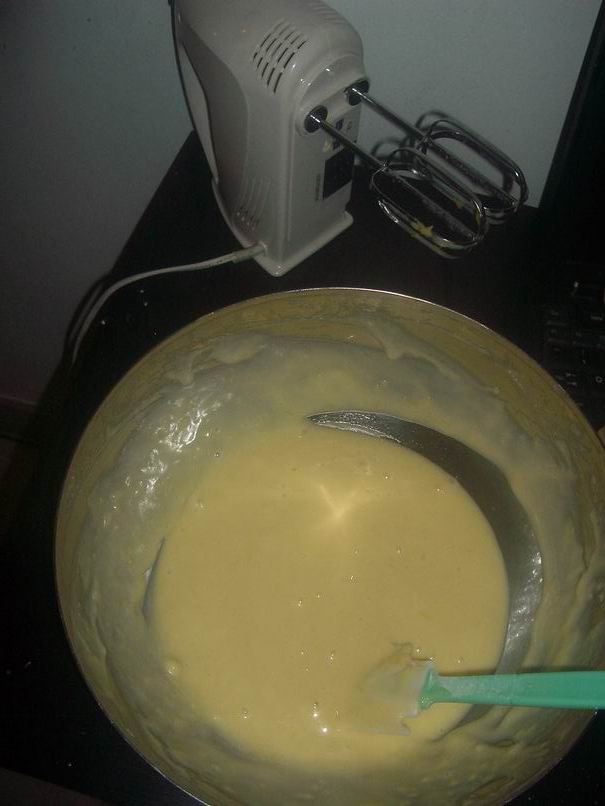 [Resize+of+IMGP0458.JPG]