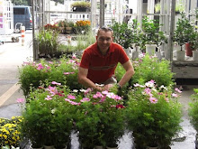 Flower Market