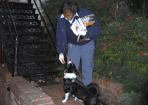 Lupe Mail