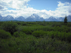 Tetons Over Valley