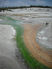 Green/Brown Hot Springs