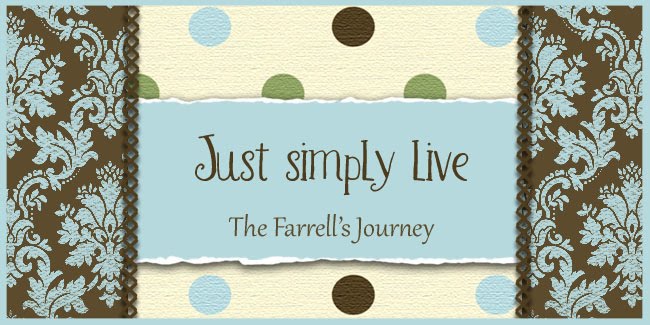 The Farrell's Journey