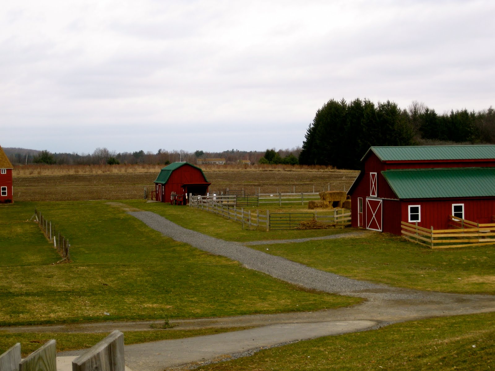 danielle abroad maple syrup nerds