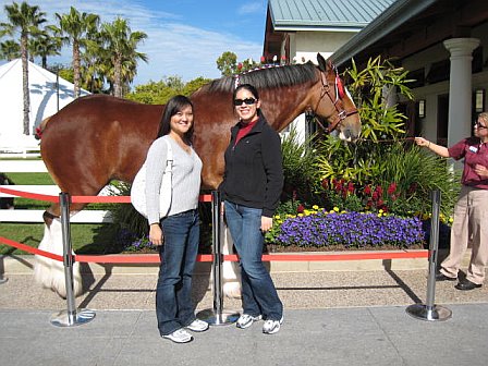 [legalmisfit+junit+clydesdale.jpg]