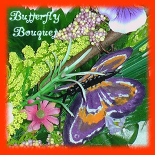 Ebay Wreaths Butterfly II